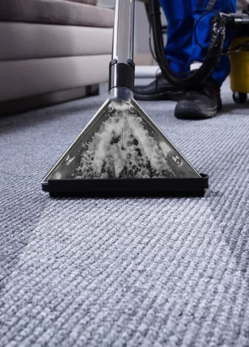 A person doing carpet cleaning service employs a vacuum cleaner to eliminate dust and maintain cleanliness.